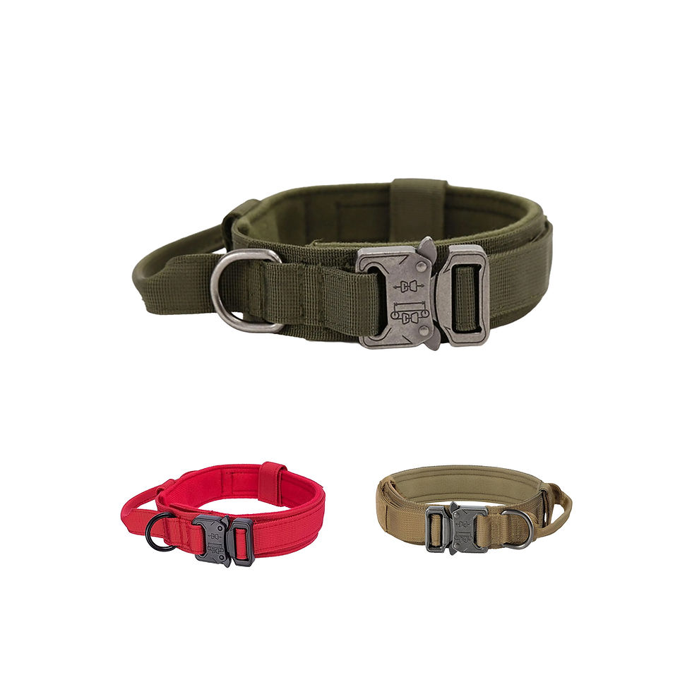 Dog collar, nylon tactical wear-resistant pet traction collar