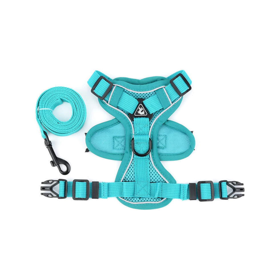 Turquoise color whole design of harness