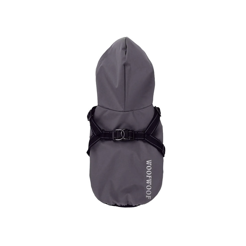 Gray dog rain jacket