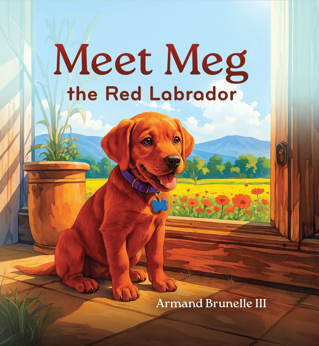 Meet Meg the Red Labrador Soft Cover Book