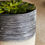 Thumbnail: Textured Planter