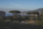CMPHOTO26-9716.jpg
