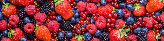 berries_1000x700-790x310.jpg