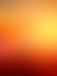 ¡Ya puedes ver TODOS los sets de Tomorrowland Around The World!