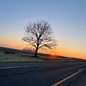 IMG_4859.jpeg