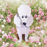 Photoroom_20250812_180502 2.JPG