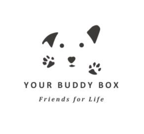 Thumbnail: Doodle -Your Buddy Box