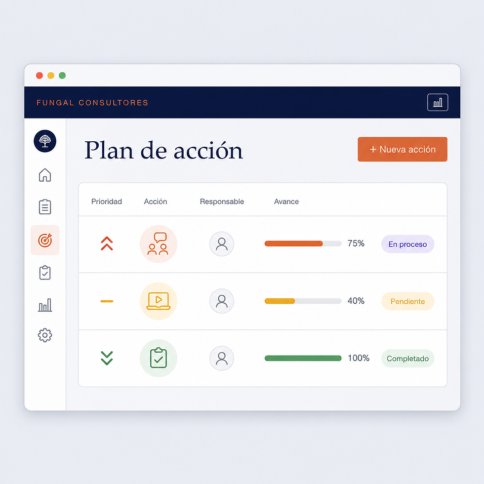Plan de acción