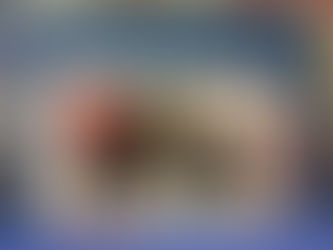 Bardejov Judo Open 2026 🥋🔥