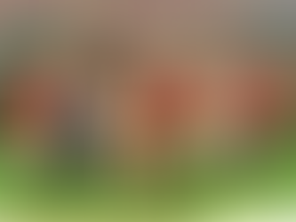 Sukcesy naszych zawodników podczas Warszawskiej Olimpiady Młodzieży!