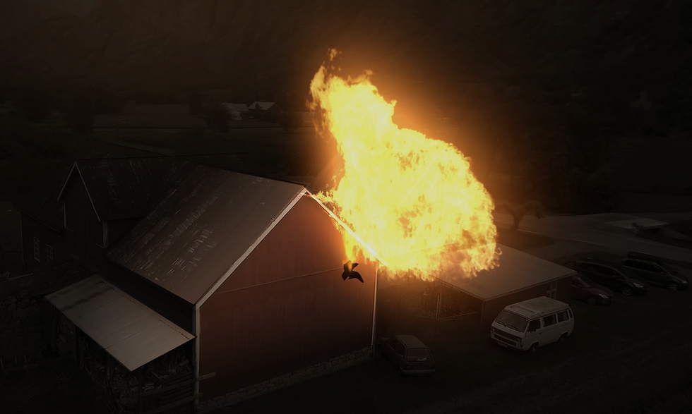 Chicken Trouble