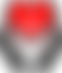 DIGITAL BILL OF RIGHTS