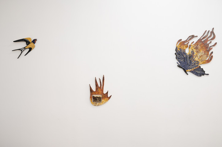 _DSC8030.jpeg