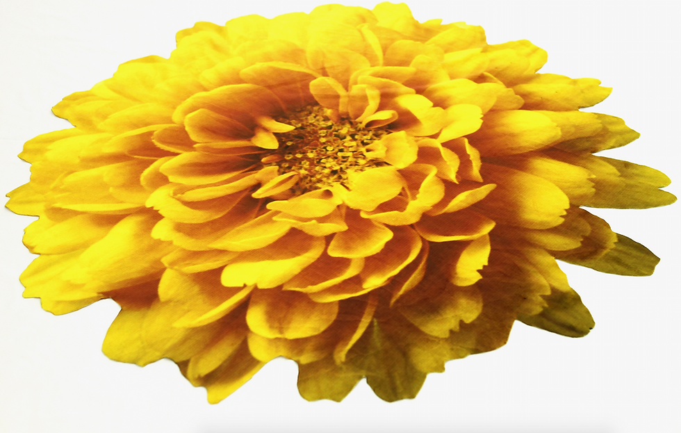 Thumbnail: Spring Flowers Giant Placemats