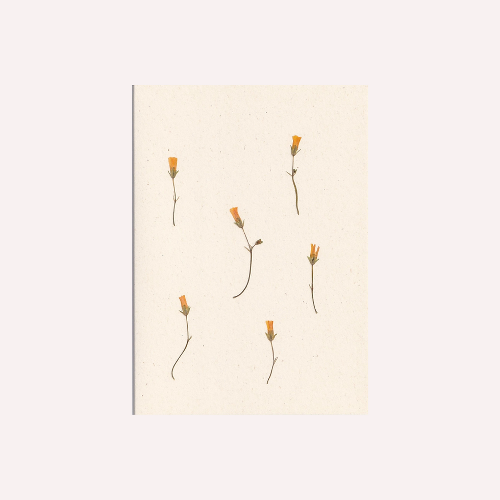 Thumbnail: Pressed Flower Greeting Card