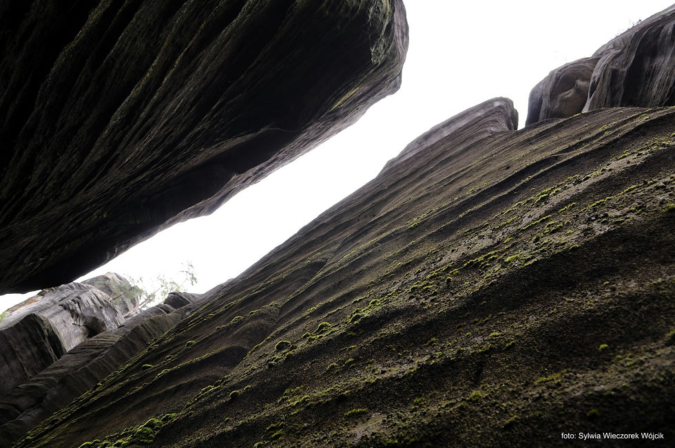 Adrspach – Skalne Miasto