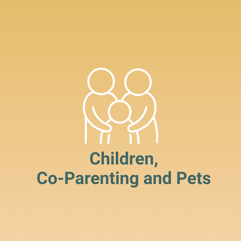 Website (5)