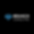 Branch Consulting Logo Black background.png