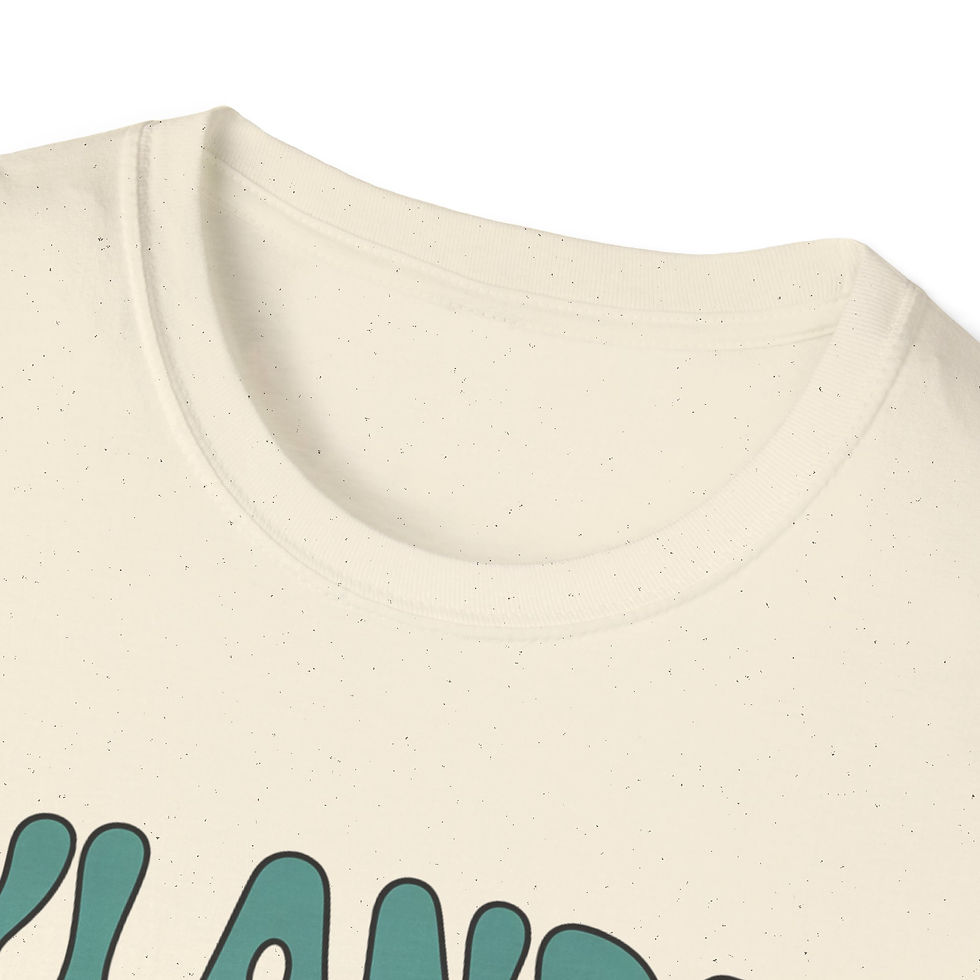 Thumbnail: Rylander Elementary Paper Airplane SOFT T-Shirt, Unisex 