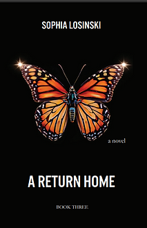 book cover flat.png