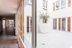 Patios, natural light everywhere
