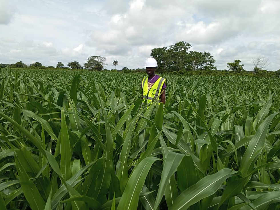 WhatsApp Image 2025-06-27 at 12.33.32_83bfa564