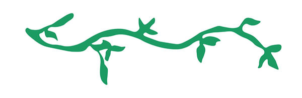 Natures Love vine 2.jpg