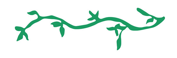 Natures vine.jpg