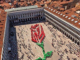 25.04.2021 - Quem já ganhou a sua rosa?