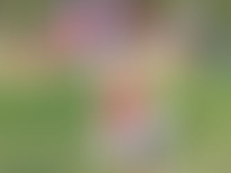 Bragança: - A Cidália sagrou-se campeã do mundo de tiro ao prato