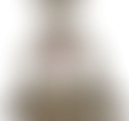 Maçonaria : - Um cavaleiro Rosa Cruz, o mais humilde dos Obreiros