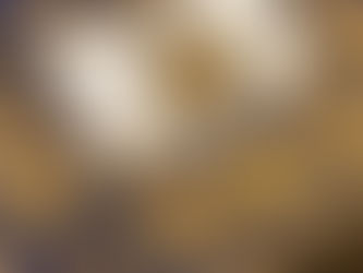 Franc-Maçonnerie: - Un élément de fraternité