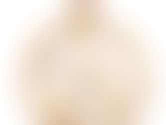 GOL numa sala do Hotel Altis, em Lisboa