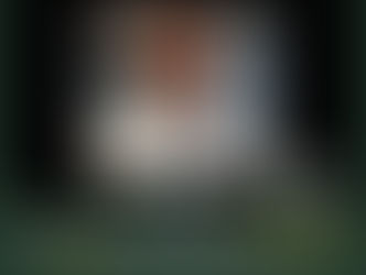 Maçonismo: - SUCESSO DA ESTREIA DO CICLO DE CONFERÊNCIAS 'ONLINE' DA GLSE