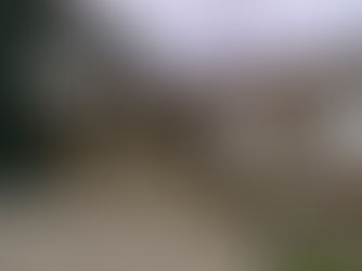 Masonería: - SIN RODEOS: POR QUÉ SE ES MASÓN