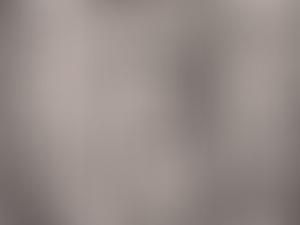 Magnifique et étonnant double portrait d'Albrecht Dürer par Lucas Kilian (1589-1637)