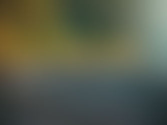 Traços Narcisistas e Narcisismo: Entendendo o Ego Inflado