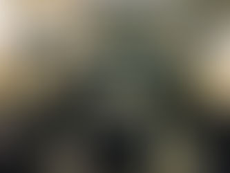 Interior renovado do restaurante da Grande Loja de França, “Le Cercle por Thierry Marx”, em Paris