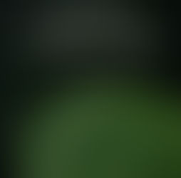 Uma única folha de nenúfar sobre água escura, fotografada de perto — imagem que evoca o tema do lily padding no mundo do trabalho