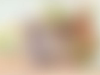 História Revelada: Maçonaria e a Implantação da República de 1910 em Portugal