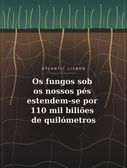 Ilustração vertical de raízes e redes de fungos sob uma pastagem, com o título do artigo e a identificação Atlantic Lisbon.