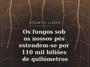 Ilustração vertical de raízes e redes de fungos sob uma pastagem, com o título do artigo e a identificação Atlantic Lisbon.