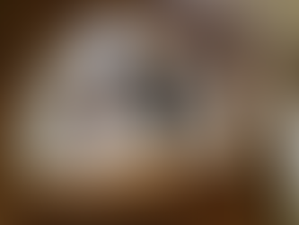 LES GRANDS PRINCIPES DU RITE (REAA)