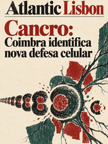 Cancro: Coimbra identifica nova defesa celular
