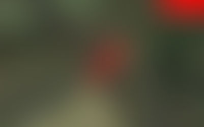 Rockbridge County, VA (1.35 acres)