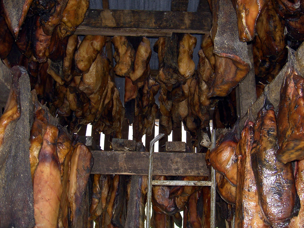 Fermentované žraločí maso se suší na farmě Bjarnarhöfn.