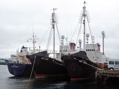 Whaling vessels Hvalur 8 and Hvalur 9 in the harbor in Reykjavík.
