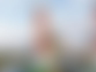 Aumentó la generación térmica mientras el nivel de los embalses es del 50%