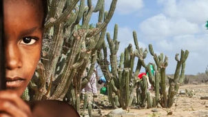 El naufragio institucional de la justicia en La Guajira