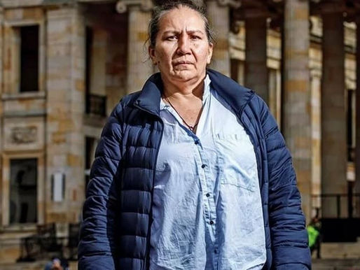 Que se detenga el país porque una niñera se robó una plata...